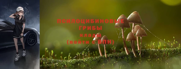 метамфетамин Аркадак